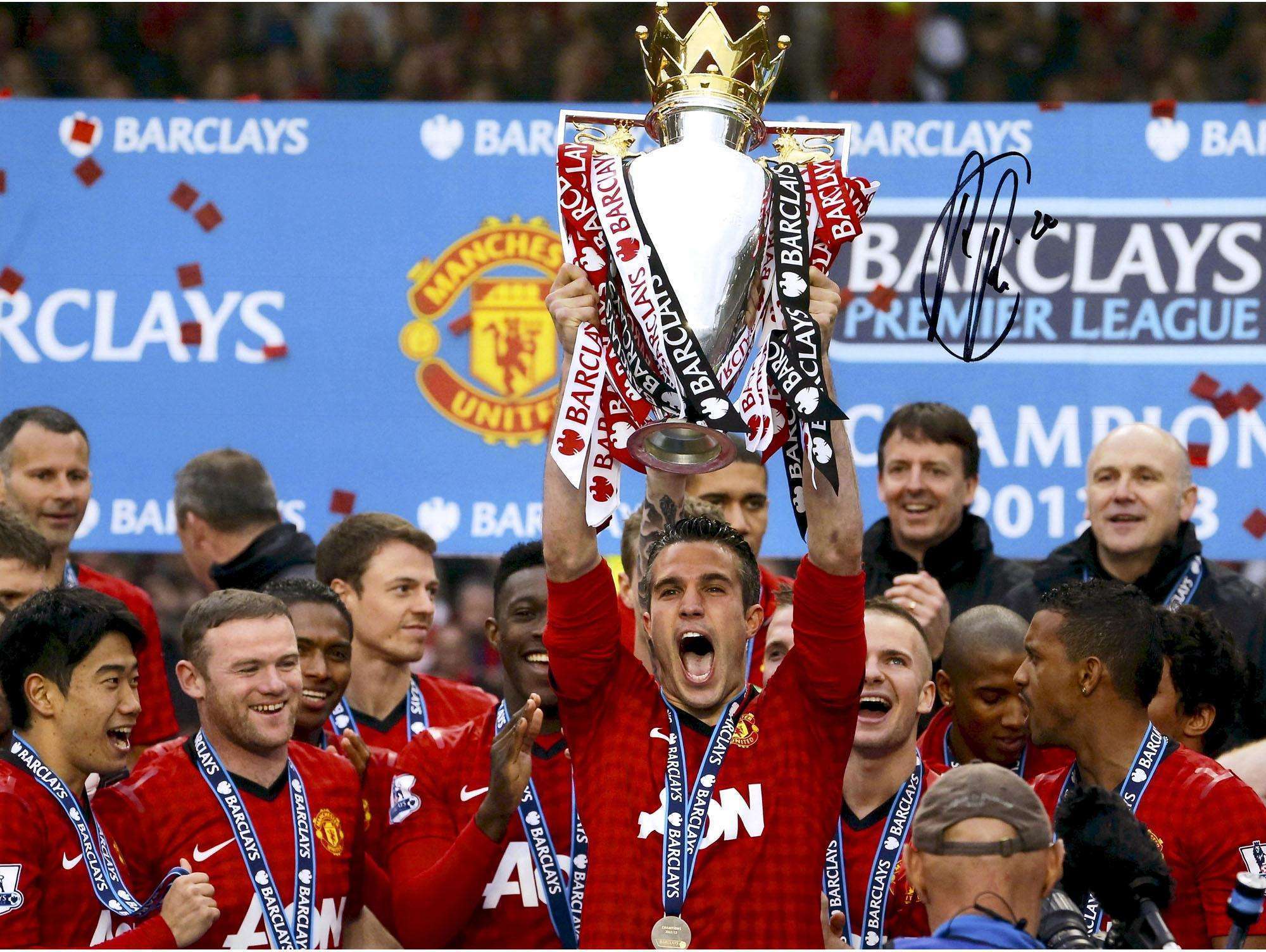 毛球这项全 毛球这项全